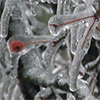 ice strom still frame